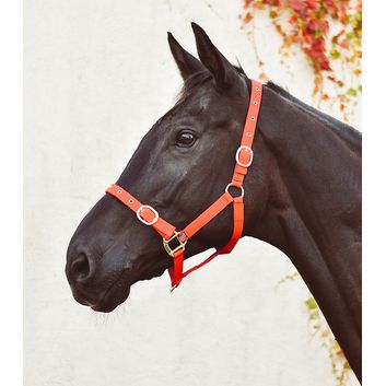 Equisential Nylon Headcollar Red/Black
