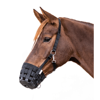 Waldhausen Black Grazing Muzzle alternative