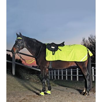 Waldhausen Hi-Viz Exercise Sheet Neon Yellow alternative