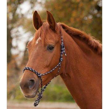 Waldhausen Knotted Black/White Halter