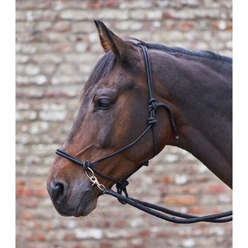 Waldhausen Knotted Halter with Reins Black alternative