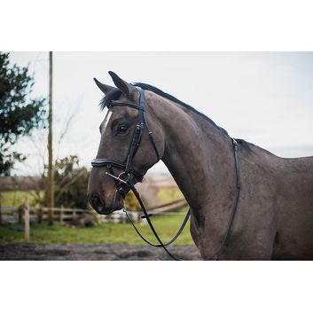 Mackey Legend Apollo Bridle Brown alternative
