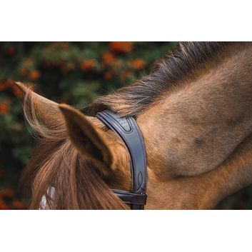 Mackey Legend Athena Headpiece Black alternative