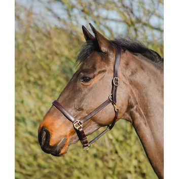 Mackey Legend Helios Leather Headcollar Brown alternative