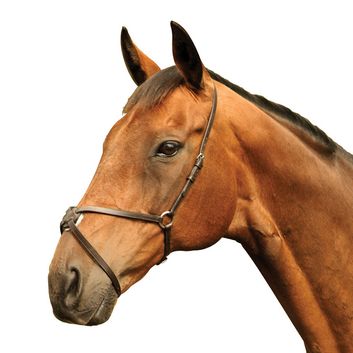 Mackey Classic Grackle Noseband Brown alternative