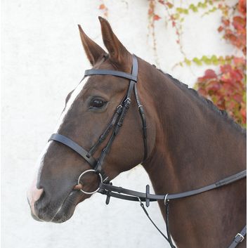 Mackey Classic Hunt Bridle Brown alternative