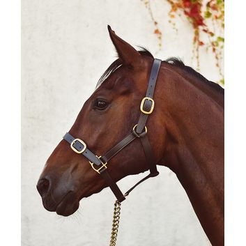Mackey Classic Leather Headcollar Brown alternative