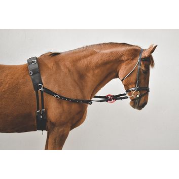 Equi-Sential Nylon Side Reins Black alternative