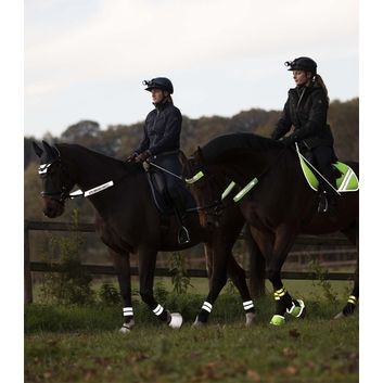 Waldhausen Reflex Neon Yellow Bridle Set alternative