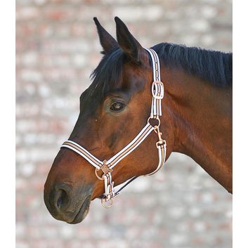 Waldhausen Shine Halter White/Rose alternative