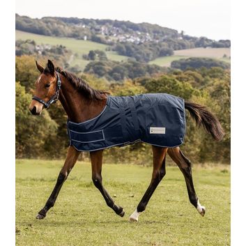 Waldhausen Navy Turnout Rug for Foals alternative