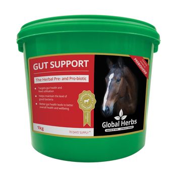 Global Herbs Gut Support alternative