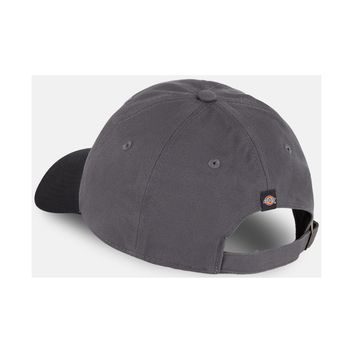 Dickies Everyday Dickies Twill Cotton  Cap Graphite alternative