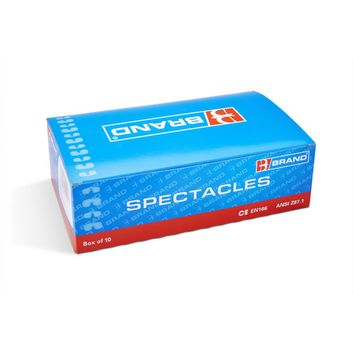 Beeswift Everson Safety Glasses Clear alternative