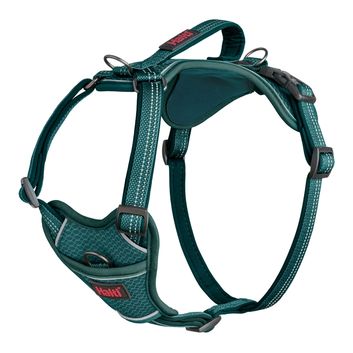 Halti Anatomy Harness Teal alternative
