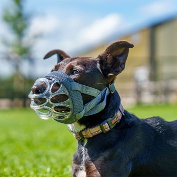 Baskerville Invisa Basket Muzzle alternative