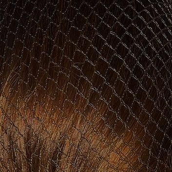 Harpley Equestrian Hairnets Heavyweight alternative