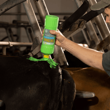 FIL Water-Based Tail Paint Detail Applicator 1L alternative