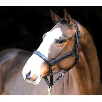 Liveryman Clipping Halter