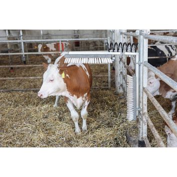 Kerbl Cattle Coat Cleaning Brush Texas alternative