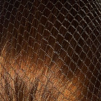 Harpley Equestrian Hairnets Standard alternative