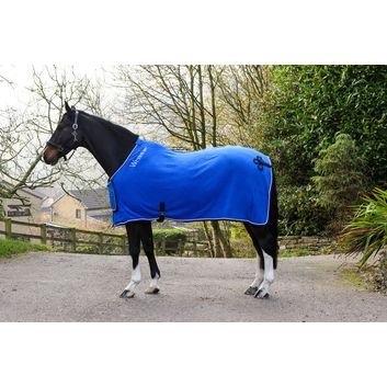 Whitaker R160 Club Show Rug Royal Blue alternative