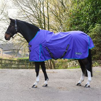 Whitaker R440 Rastrick V2 0G Turnout Rug Purple alternative
