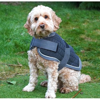 Mackey Thermo Dog Rug Navy