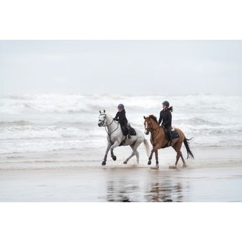 Coldstream Belford Suede GP Saddle Pad - Navy alternative