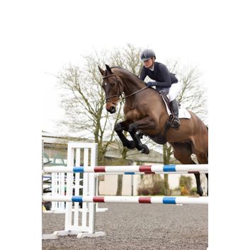 Coldstream Choicelee Close Contact Saddle Pad - White/Blue alternative