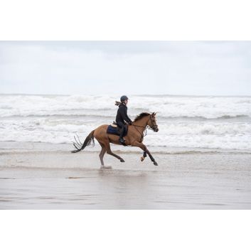 Coldstream Next Generation Ecclaw Elite Compression Riding Tights - Black alternative