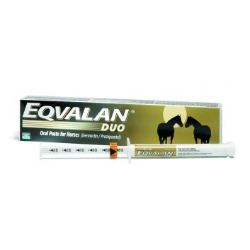 Eqvalan Duo