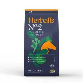 Hilton Herbs Herballs - Turmeric &amp; Ginger