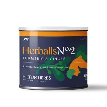 Hilton Herbs Herballs - Turmeric &amp; Ginger
