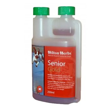 Hilton Herbs Senior Dog Gold