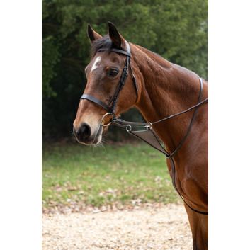 Hy Equestrian Bib Martingale - Brown