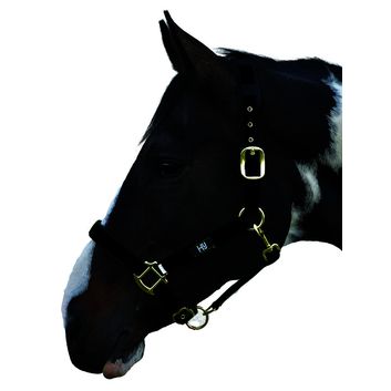 Hy Equestrian Deluxe Padded Head Collar - Black