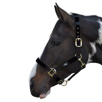 Hy Equestrian Deluxe Padded Head Collar - Black