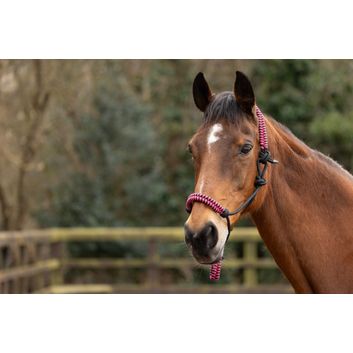 Hy Equestrian Double Braid Rope Halter - Cob/Full alternative