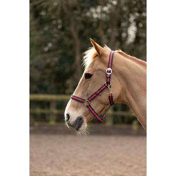 Hy Equestrian Duo Head Collar - Navy/Red alternative