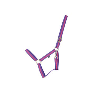 Hy Equestrian Duo Head Collar - Purple/Fuchsia