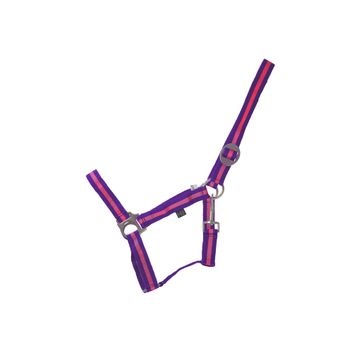 Hy Equestrian Duo Head Collar - Purple/Fuchsia alternative