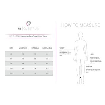 Hy Equestrian DynaForce Riding Tights - Pacific/Grey alternative