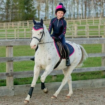 Hy Equestrian DynaMizs Ecliptic Fly Veil - Navy/Magenta alternative