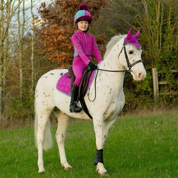 Hy Equestrian DynaMizs Ecliptic Fly Veil - Plum/Teal alternative