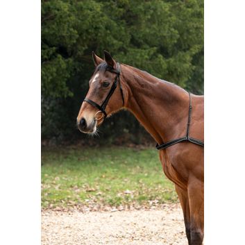 Hy Equestrian Elastic Breastgirth - Black