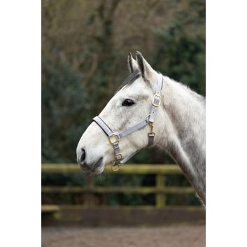 Hy Equestrian Grand Prix Head Collar - Grey alternative