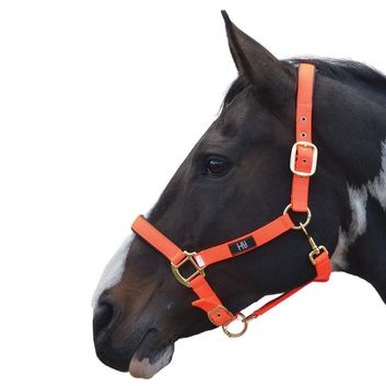Hy Equestrian Grand Prix Head Collar - Hot Orange alternative