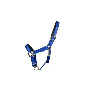 Hy Equestrian Grand Prix Head Collar - Navy