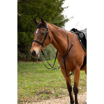 Hy Equestrian Hunting Breastplate - Black